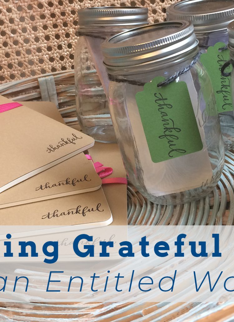 In a world that is blaring a “never enough” message, how do we nurture our children to be grateful for what they have and better yet have a heart to serve others and give their life away? The book, Raising Grateful Kids offers hope.